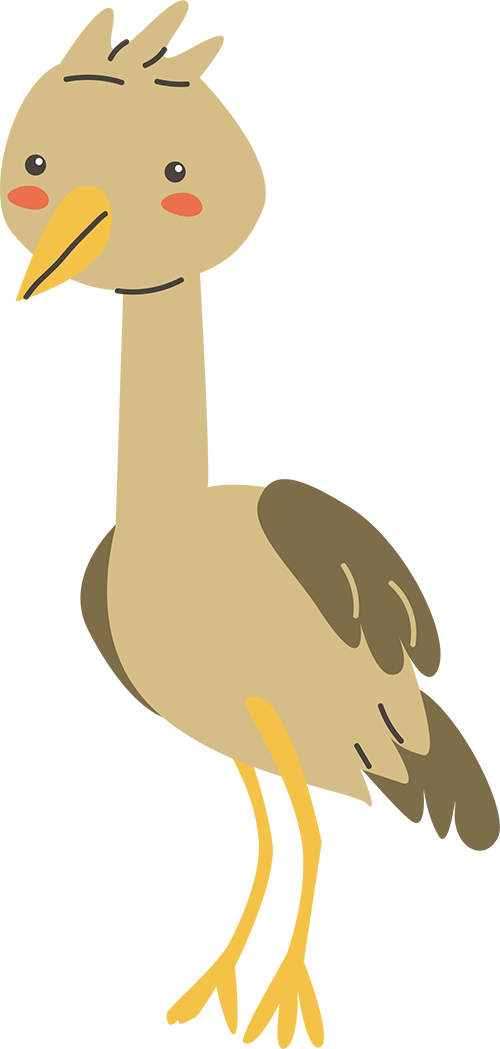 crane bird